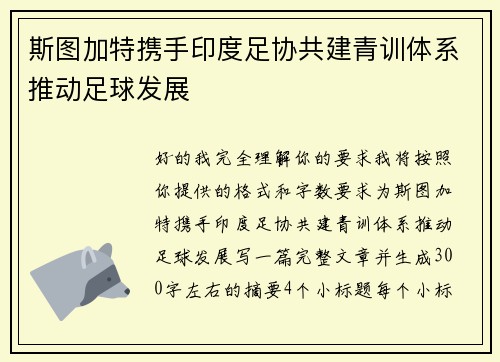 斯图加特携手印度足协共建青训体系推动足球发展 斯图加特携手印度足协共建青训体系推动足球发展